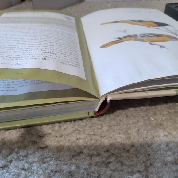 Backyard Birdsong Guide - Picture 3 of 8